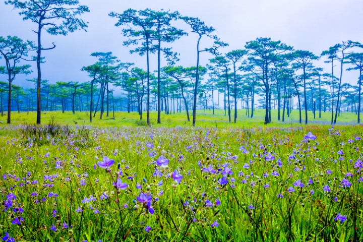 ที่เที่ยวอุตรดิตถ์
